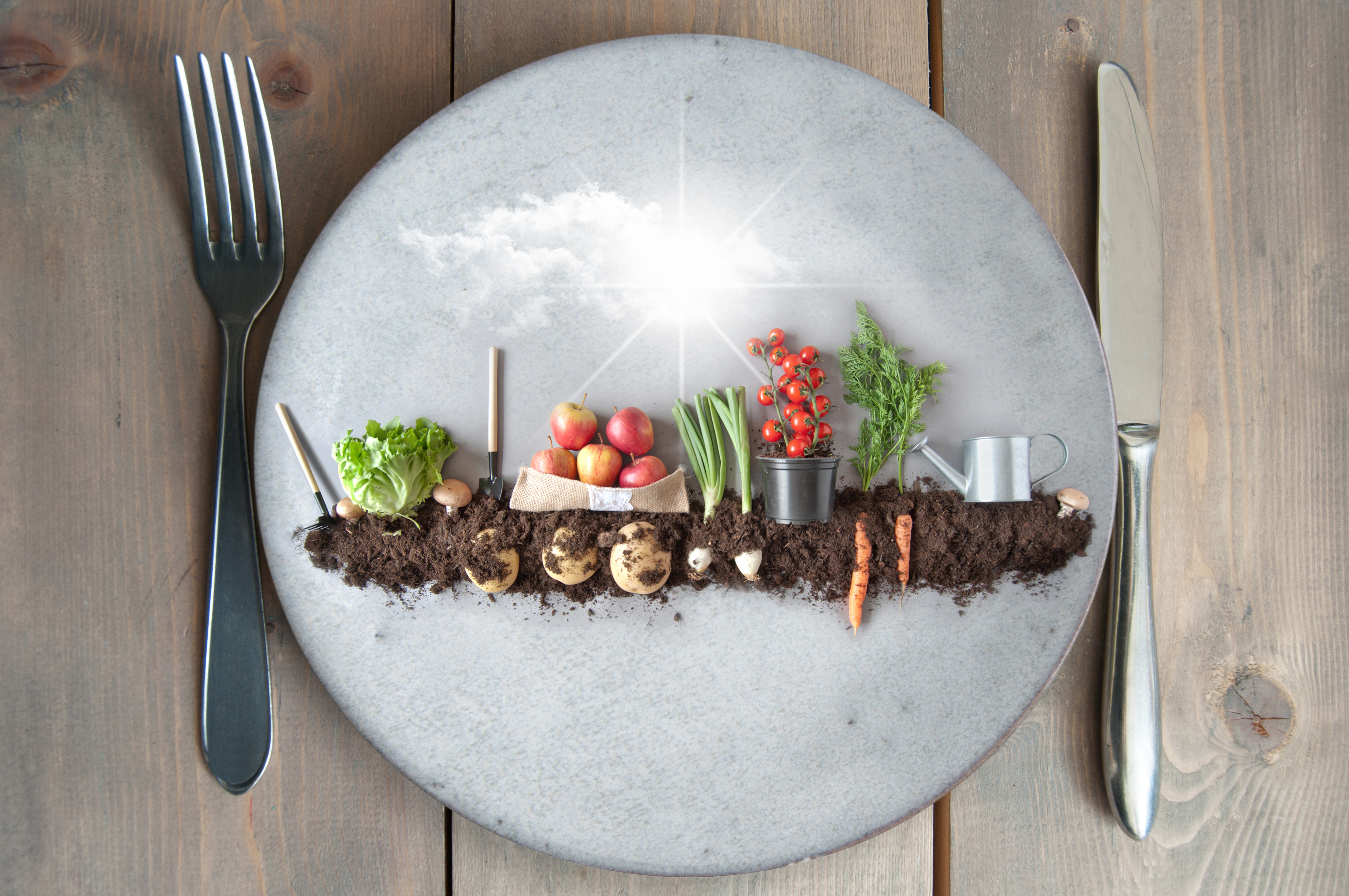 Aufbau von Wertschöpfungsketten für regionale Bio-Produkte in der Kitaverpflegung in Bremen